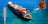 Inductive MARITIME